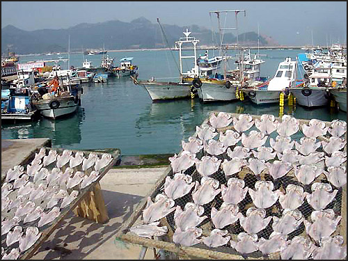 흑산도 항구 예리에서 